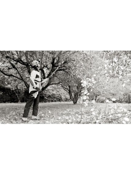 Akumuliatorinė aukštapjovė Oregon PS250 su 6 Ah akumuliatoriumi ir įkrovikliu 3