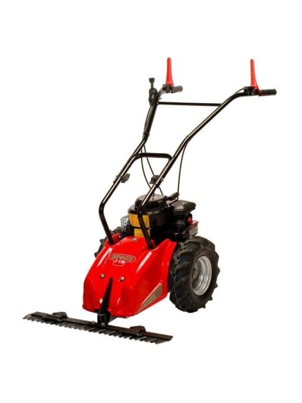 BENZININĖ ŠIENAPJOVĖ F170 B BENZININĖ ŠIENAPJOVĖ F170 B