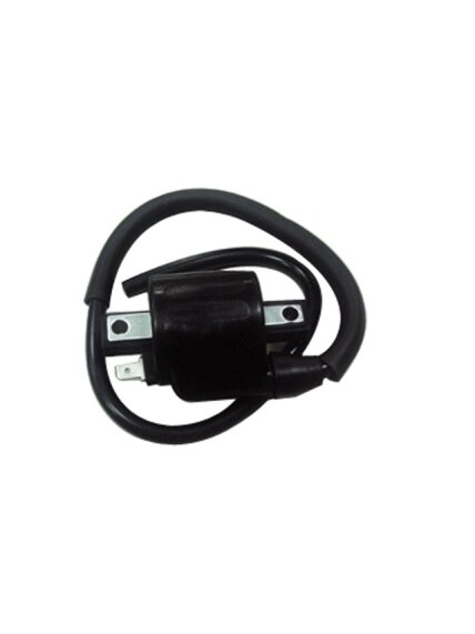 Bronco Ignition coil Universal Bronco Ignition coil Universal