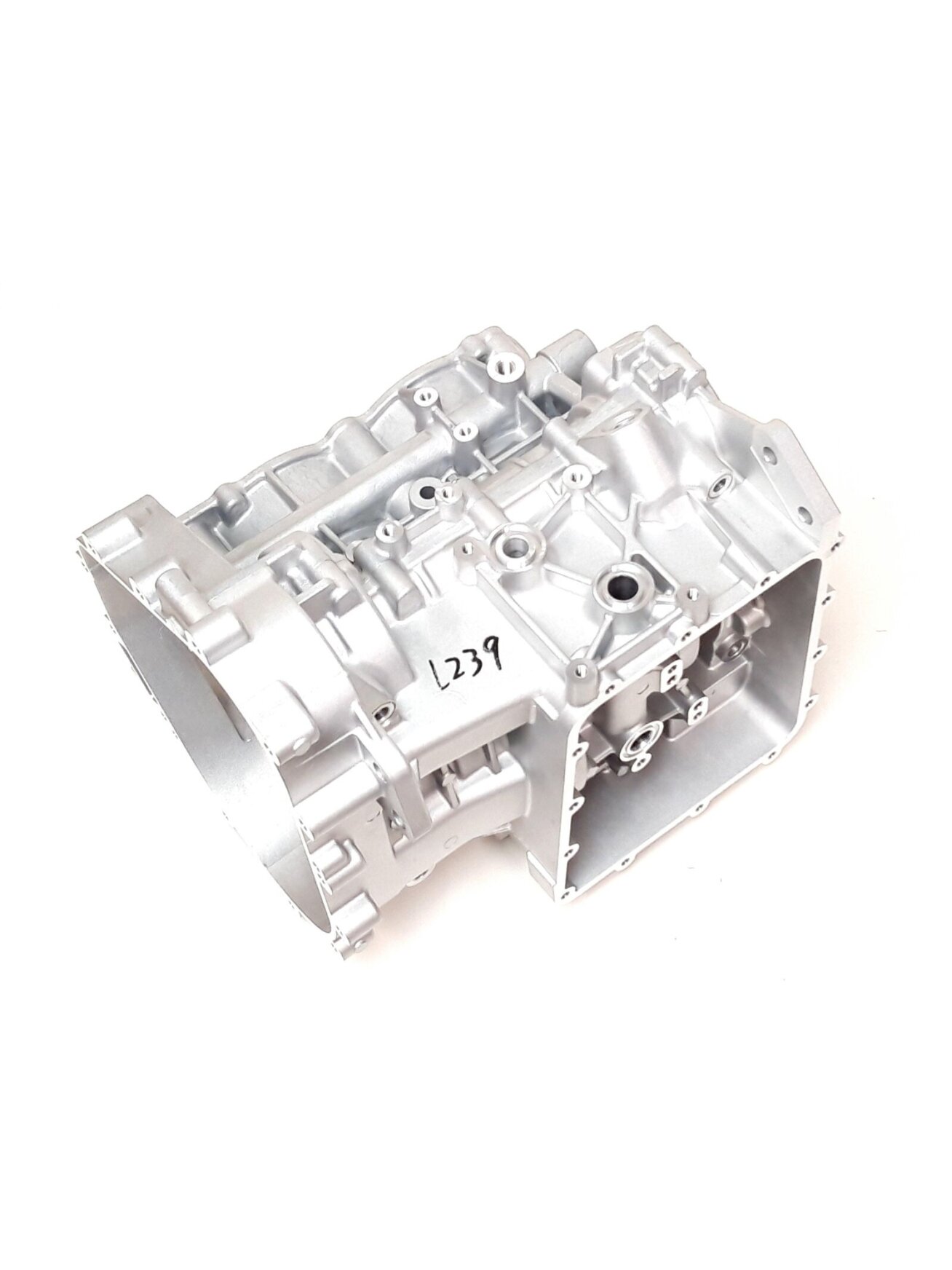 CRANKCASE ASSY 1