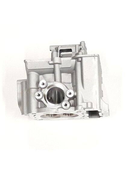 CYLINDER HEAD - CAMSHAFT CARRIER COMBINATION 3