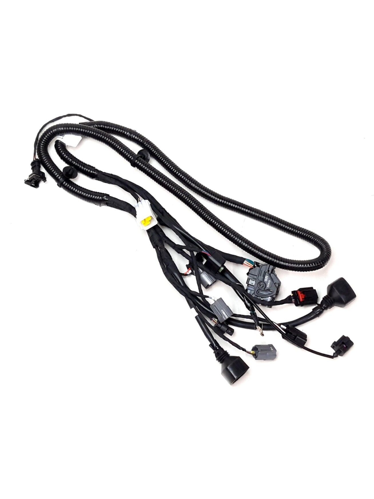 EFI HARNESS EFI HARNESS