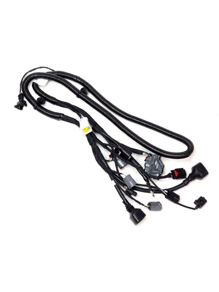 EFI HARNESS EFI HARNESS