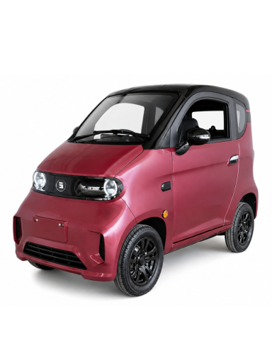Elektrinis keturratis mini automobilis J7, 1kW 65AH EEC CE ⚡️ eMOTO
