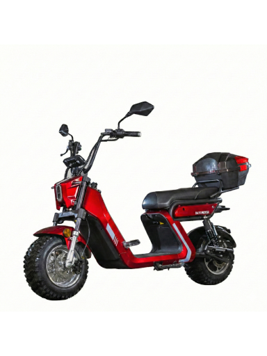Elektrinis motoroleris E-BALDUR A9 PRO Off Road, 1kW 20AH Ličio jonų EEC⚡️ eMOTO