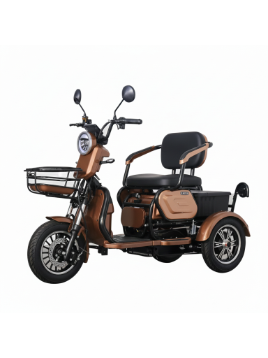 Elektrinis triratis motoroleris / mopedas M20EEC, 1kW 20AH Ličio jonų⚡️eMOTO