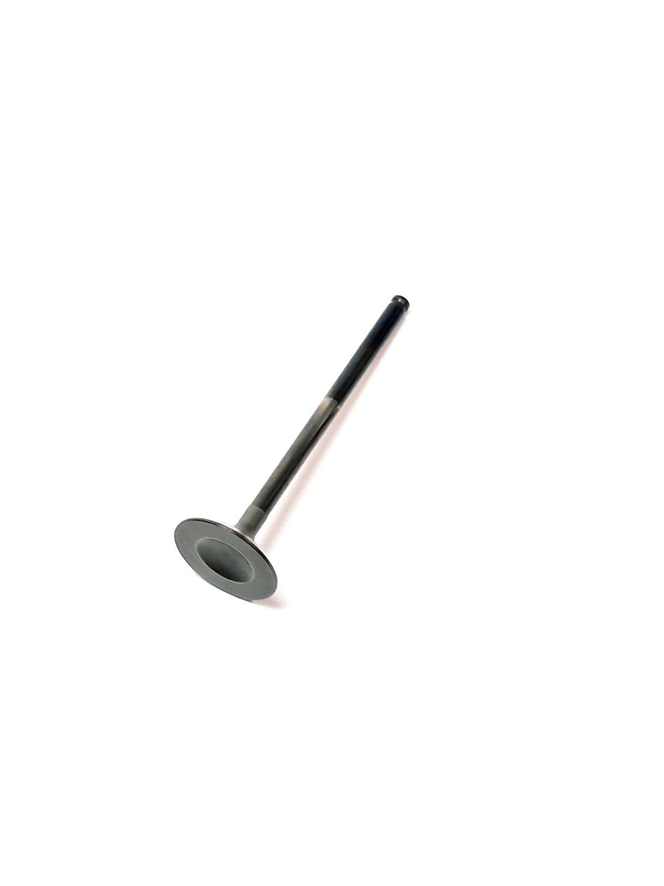 EXHAUST VALVE