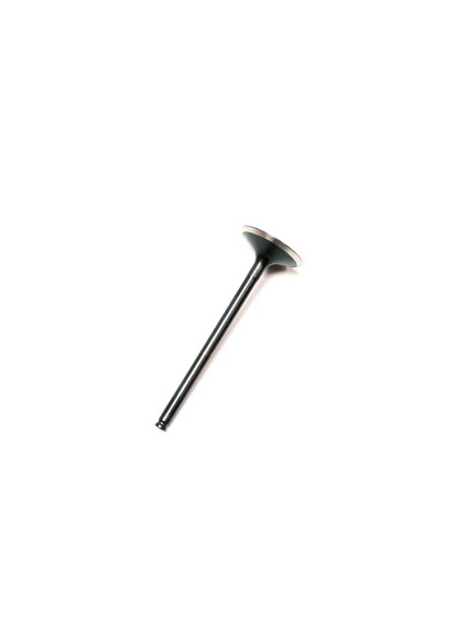 EXHAUST VALVE