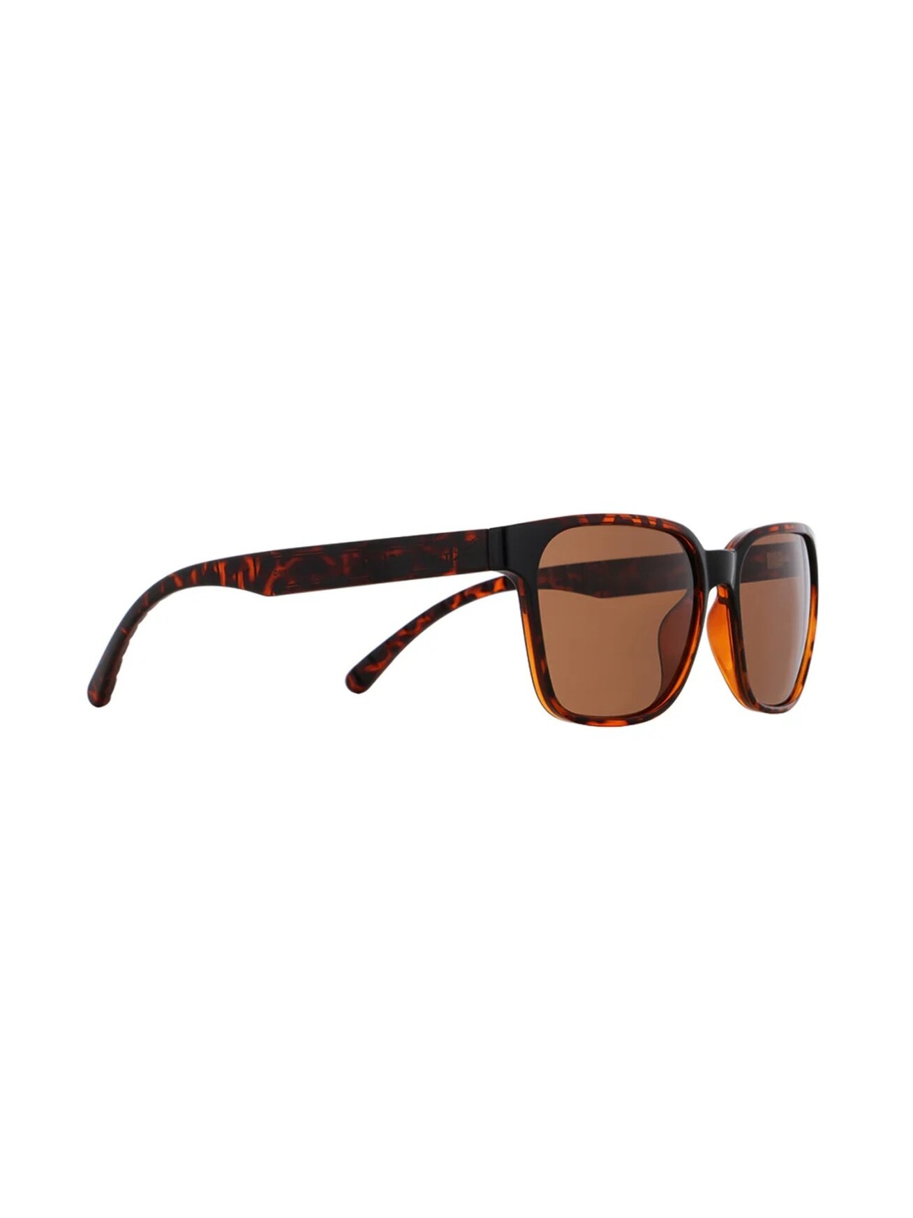 Spect Red Bull Eliot Sunglasses Shiny Havana w Brown lens Spect Red Bull Eliot Sunglasses Shiny Havana w Brown lens