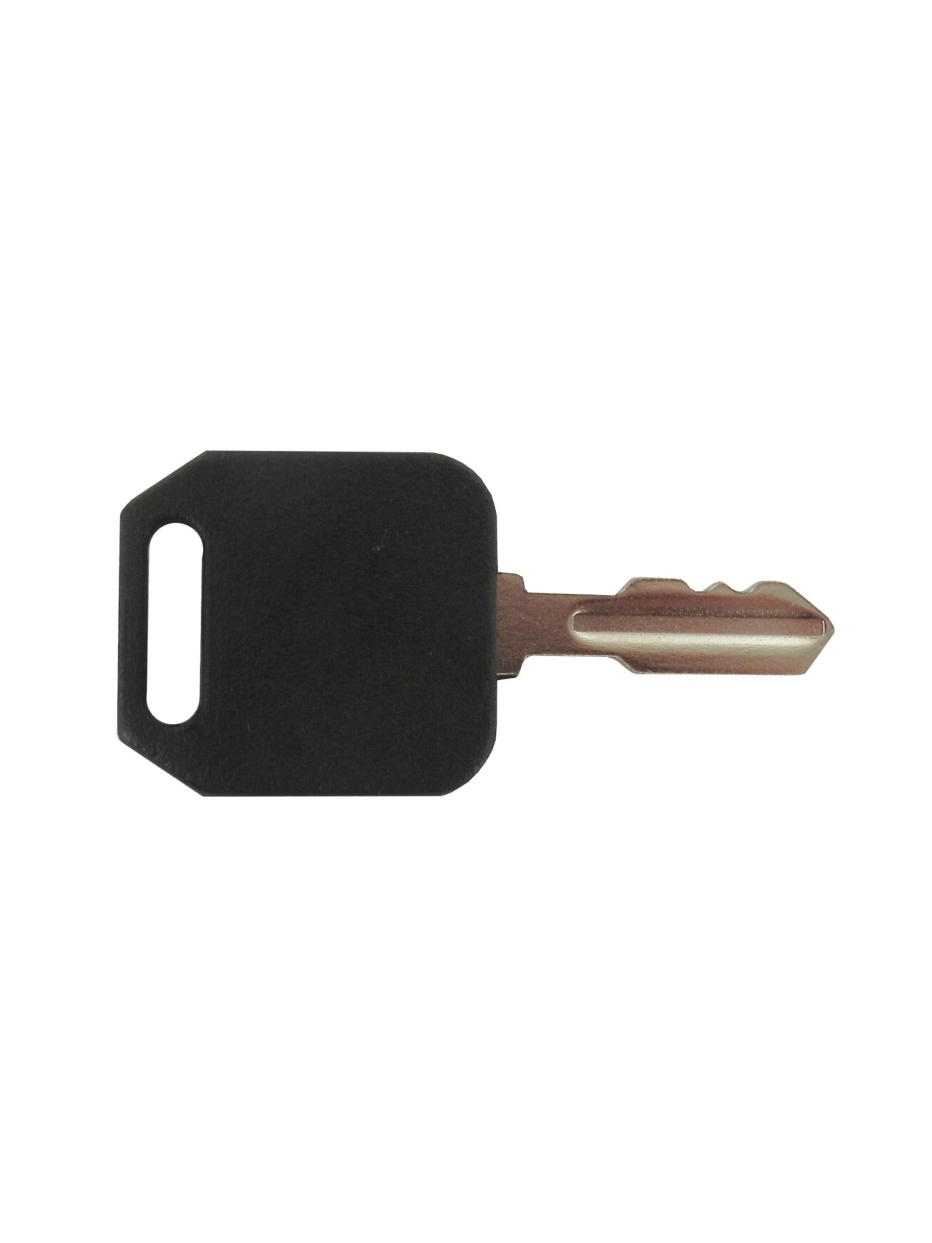 Eurogarden Ignition key (Delta) (2302185) Eurogarden Ignition key (Delta) (2302185)