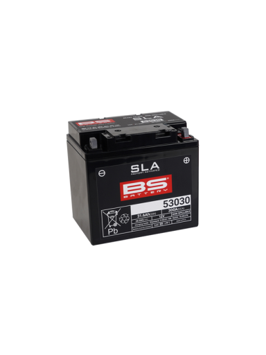 BS Battery 53030 (FA) SLA - Sealed & Activated
