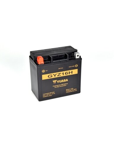 Yuasa Battery GYZ16H (wc)
