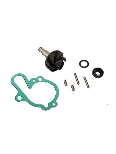 Water pump repair kit Minarelli AM6 Water pump repair kit Minarelli AM6