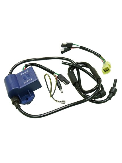 Sno-X CDI Ignition unit Rotax Sno-X CDI Ignition unit Rotax