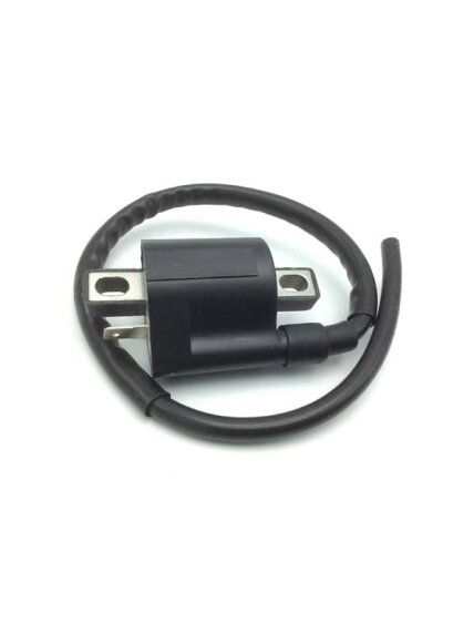 Ignition Coil 1-liitimellä Yleismalli Aprilia / Keeway / PGO / Yamaha Ignition Coil 1-liitimellä Yleismalli Aprilia / Keeway / PGO / Yamaha