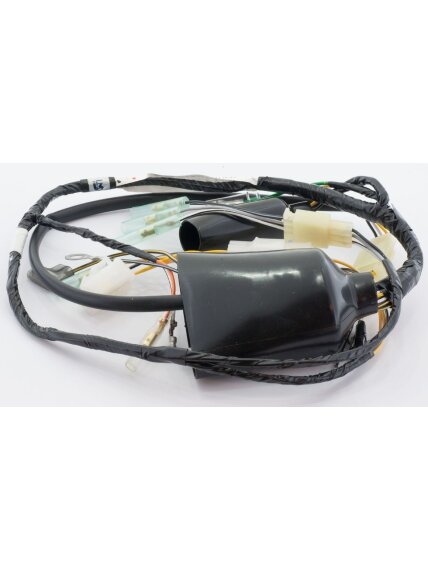 Tec-X Wire harness Suzuki PV50 Tec-X Wire harness Suzuki PV50