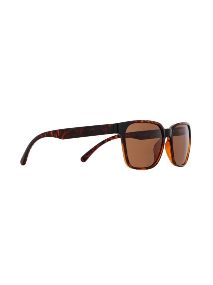 Spect Red Bull Eliot Sunglasses Shiny Havana w Brown lens Spect Red Bull Eliot Sunglasses Shiny Havana w Brown lens