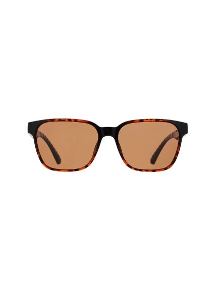 Spect Red Bull Eliot Sunglasses Shiny Havana w Brown lens 1