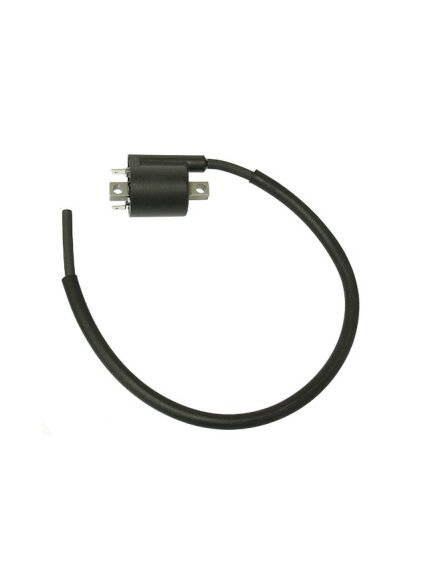 Bronco Ignition Coil Yamaha Bronco Ignition Coil Yamaha