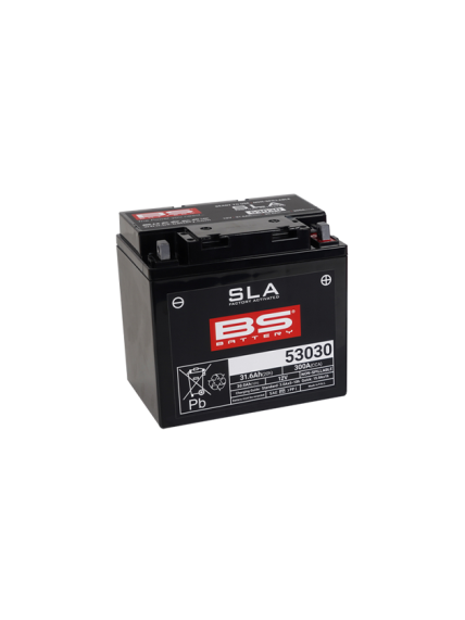 BS Battery 53030 (FA) SLA - Sealed & Activated BS Battery 53030 (FA) SLA - Sealed & Activated