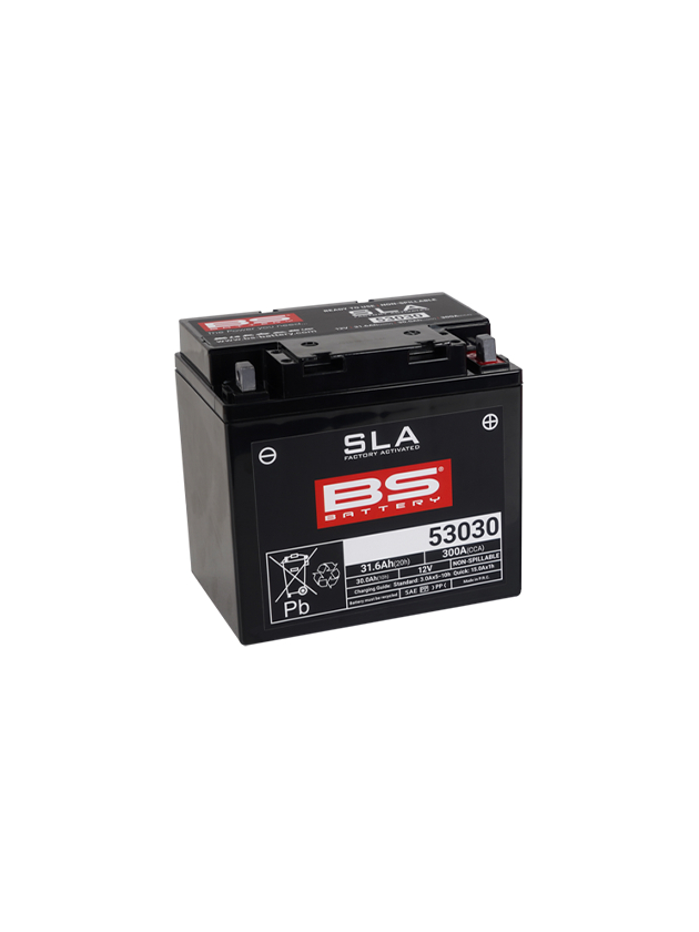 BS Battery 53030 (FA) SLA - Sealed & Activated BS Battery 53030 (FA) SLA - Sealed & Activated