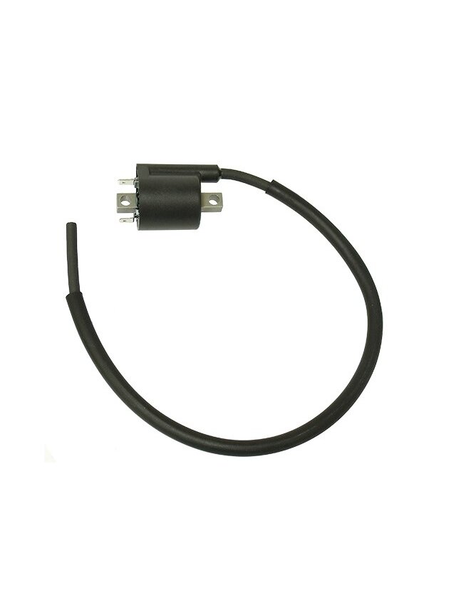Bronco Ignition Coil Yamaha Bronco Ignition Coil Yamaha