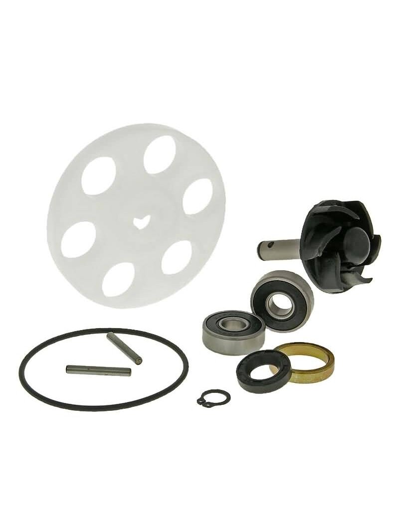 Water pump repair kit Minarelli Horizontal