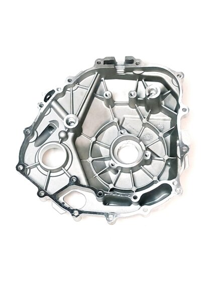 LEFT CRANKCASE COVER ASSEMBLY 1
