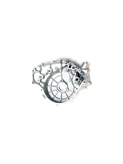 LEFT CRANKCASE COVER ASSEMBLY 1