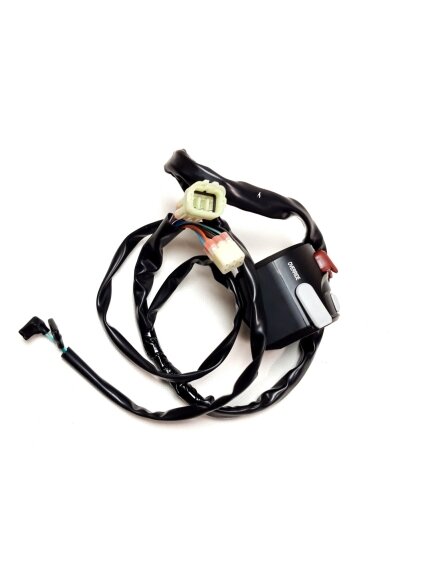 LEFT HANDLE SWITCH 2