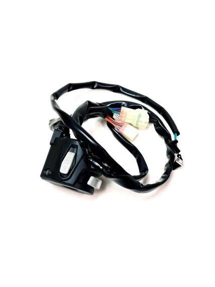 LEFT HANDLE SWITCH(EU168) 2