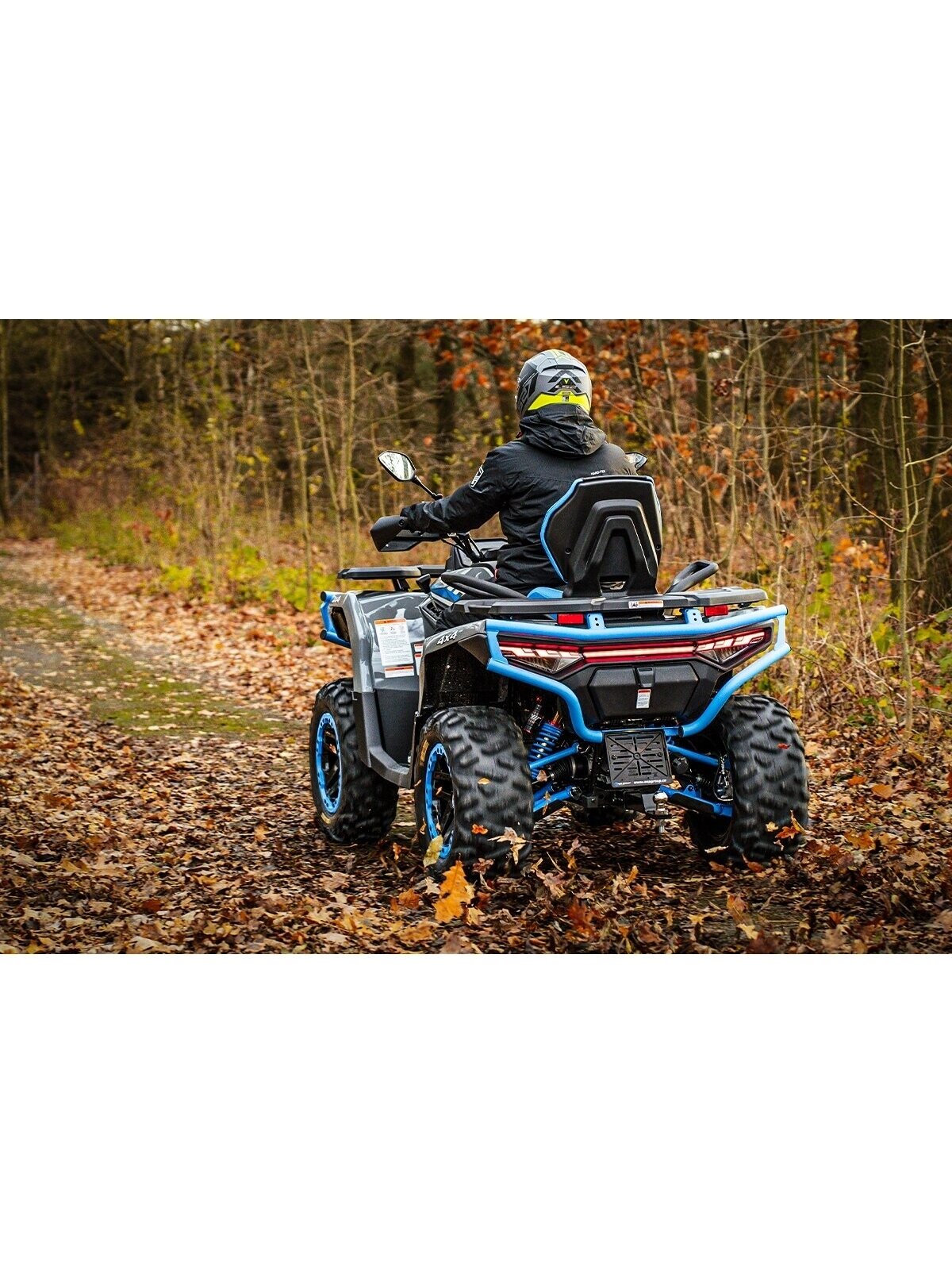 Linhai ATV 650L LANDFORCE PRO EPS, EFI, T3b 5