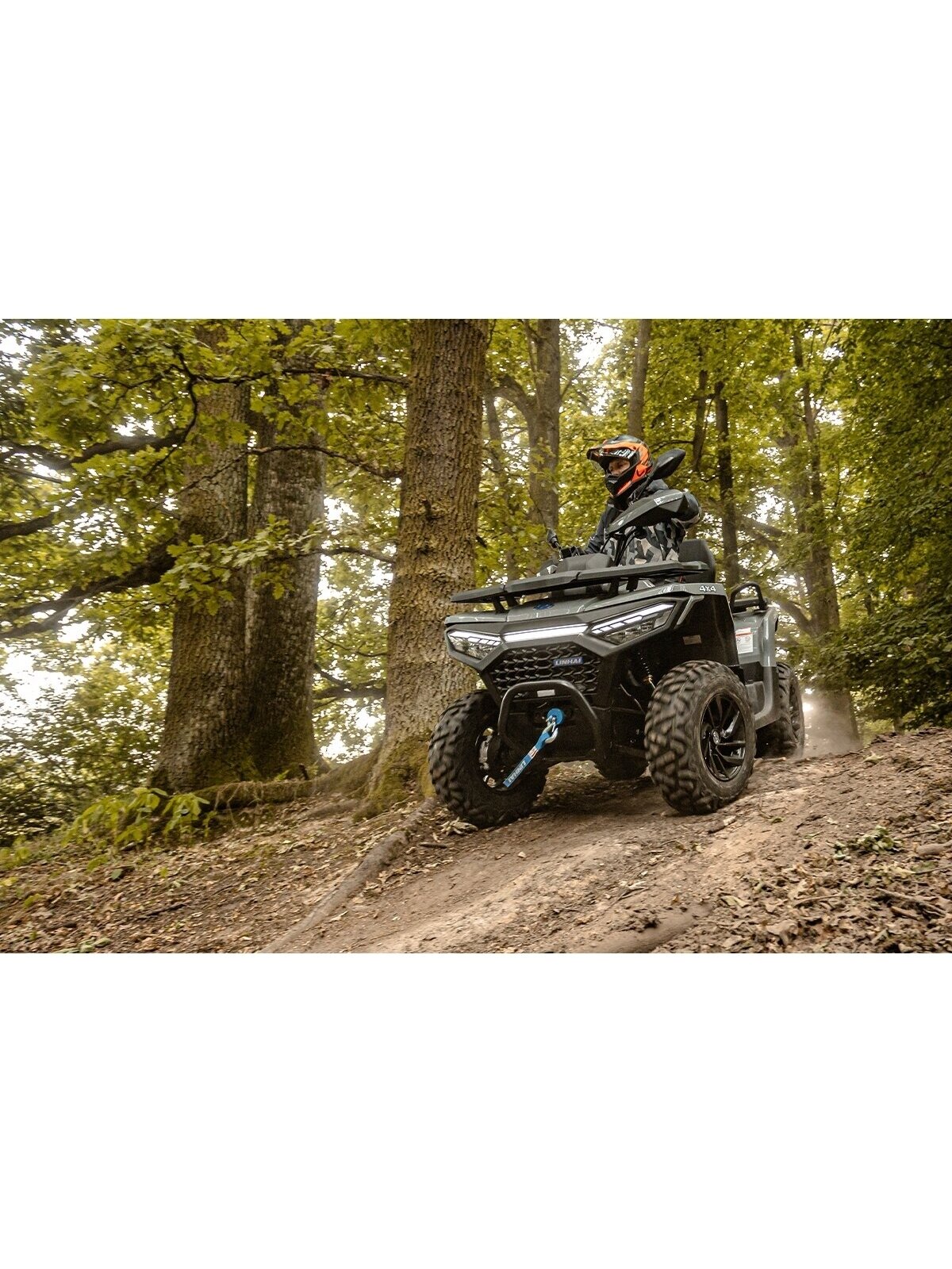 LINHAI Landforce 550L EPS 6