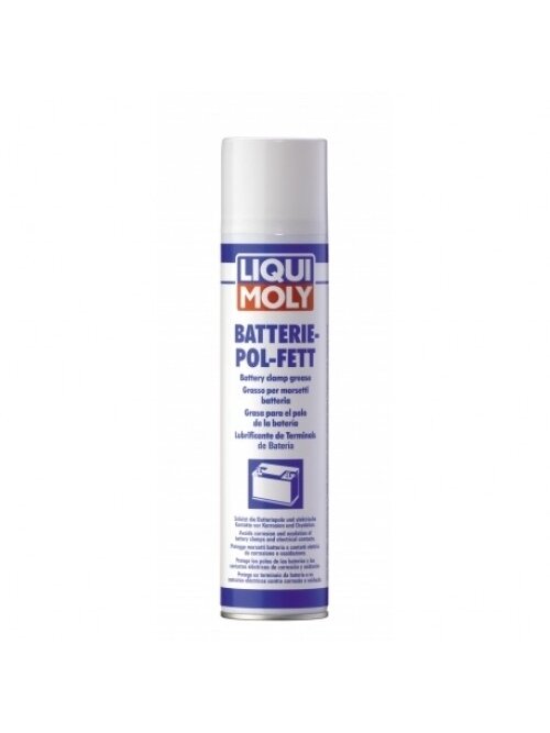 LIQUI MOLY AEROZOLINIS TEPALAS 300ml LIQUI MOLY AEROZOLINIS TEPALAS 300ml