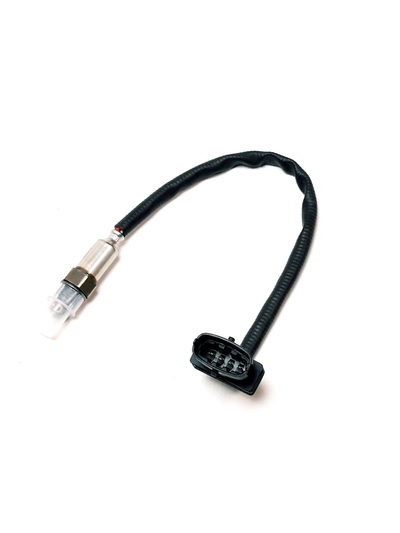 M12 OXYGEN SENSOR 1