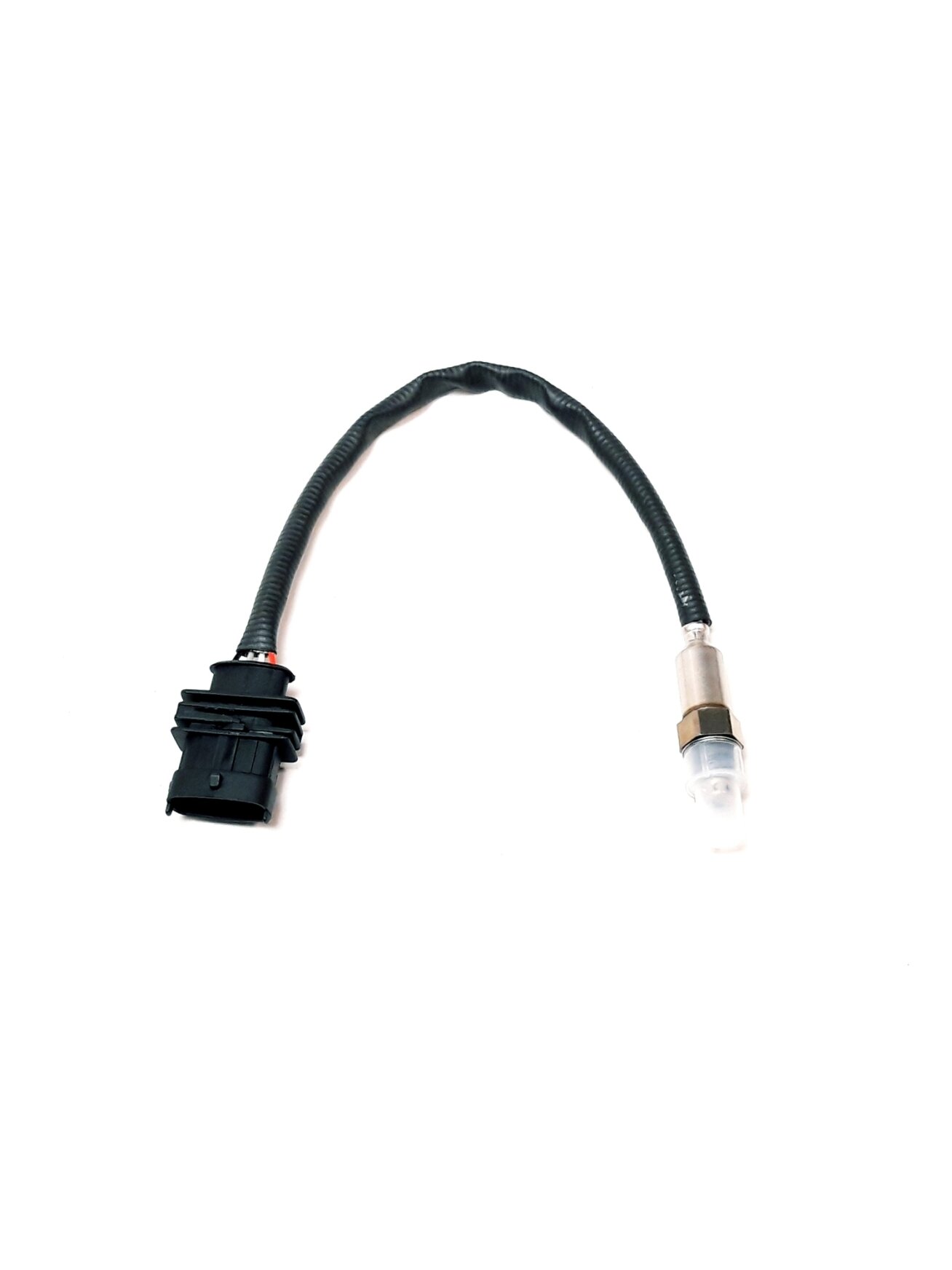 M12 OXYGEN SENSOR