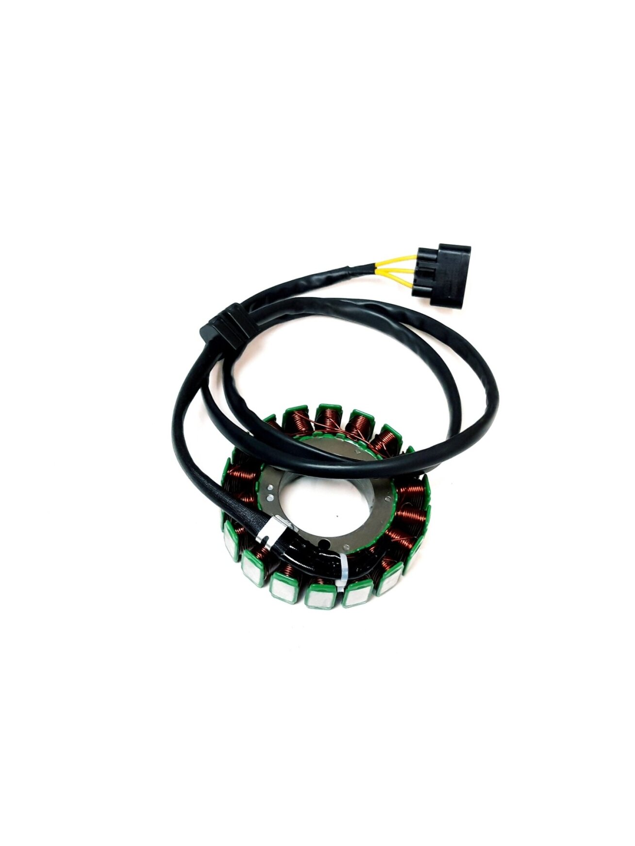 MAGNETO STATOR ASSEMBLY 1