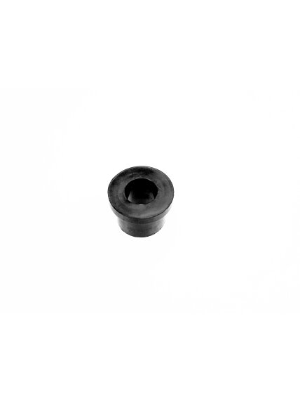 MOTOR RADIATOR BUSHING 1