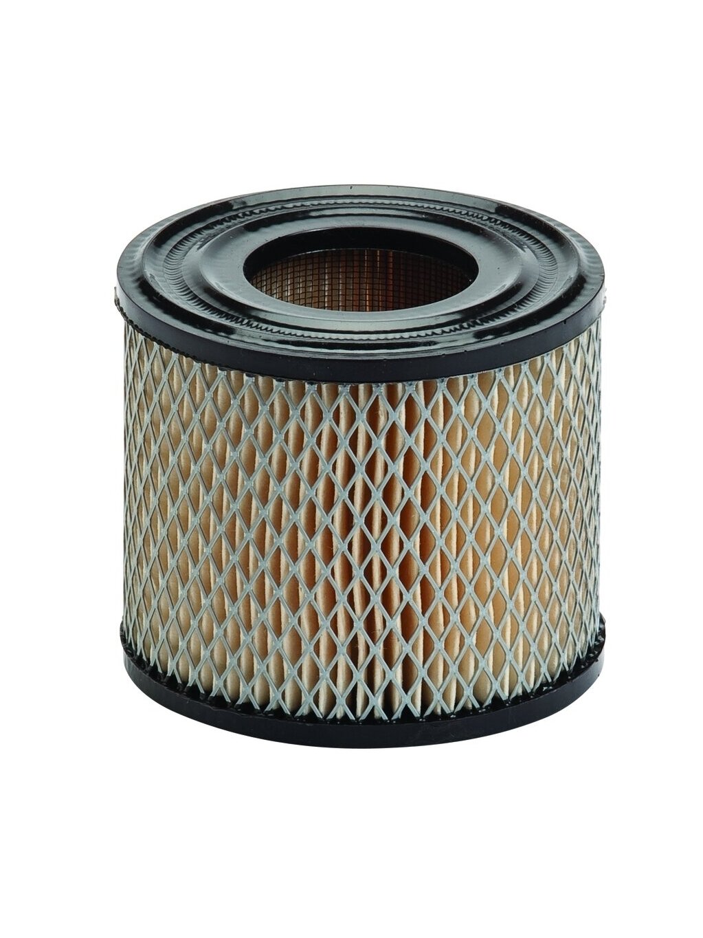 Oro filtras Briggs & Stratton varikliams #393957, #390930