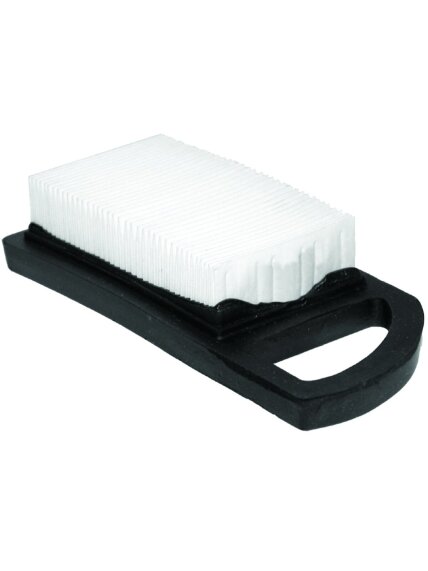 Oro filtras Briggs & Stratton #697152, #698413 Oro filtras Briggs & Stratton #697152, #698413