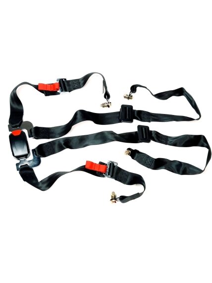 PASSENGER SEAT BELT ASSEMBLY_4-POINT TYPE_WITHOUT RETRACTOR 1 PASSENGER SEAT BELT ASSEMBLY_4-POINT TYPE_WITHOUT RETRACTOR 1