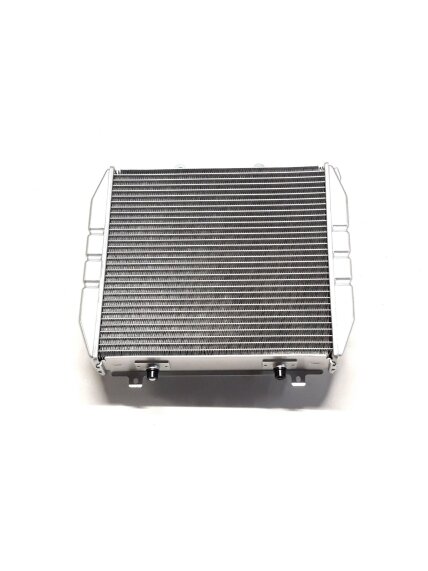 RADIATOR BODY 1