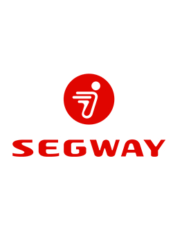 REAR BRAKE PAD ASSY REAR BRAKE PAD ASSY