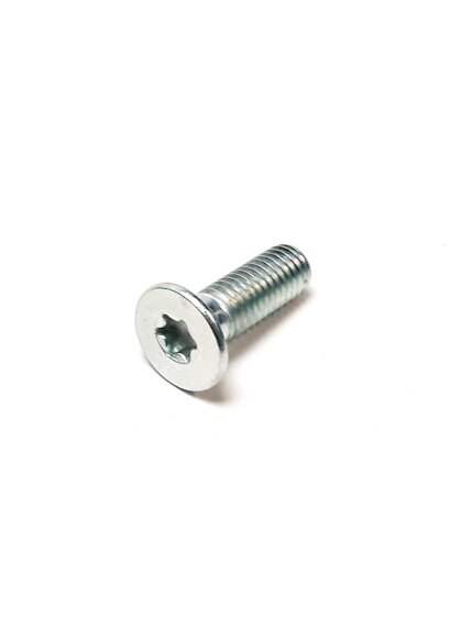 SCREW M8×25