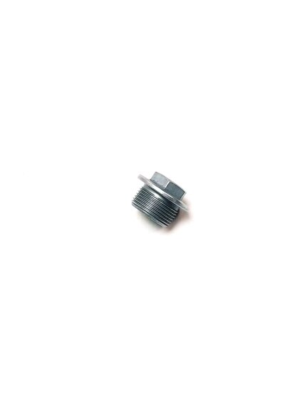 SCREW PLUG M24 2 SCREW PLUG M24 2