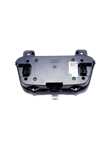 Segway SPEEDOMETER,COLOR 2