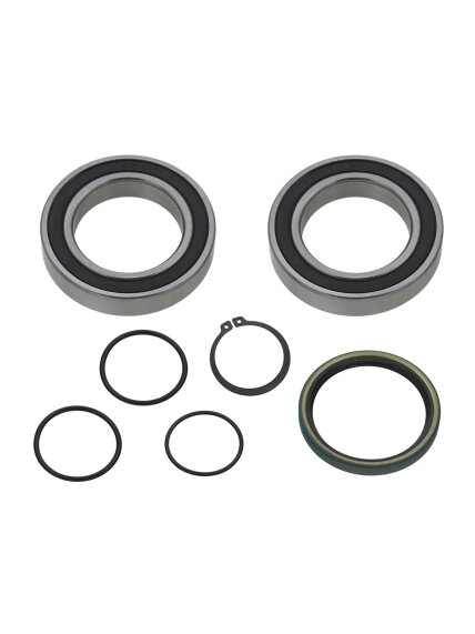 Sno-X Chain case bearing kit Ski-Doo Sno-X Chain case bearing kit Ski-Doo