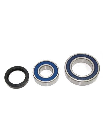 Sno-X Chain case bearing kit Ski-Doo Sno-X Chain case bearing kit Ski-Doo