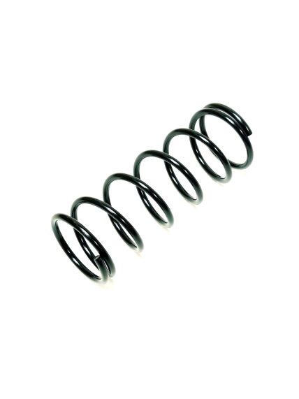 SPRING (1200-1481N) SPRING (1200-1481N)
