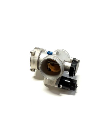 THROTTLE BODY 1